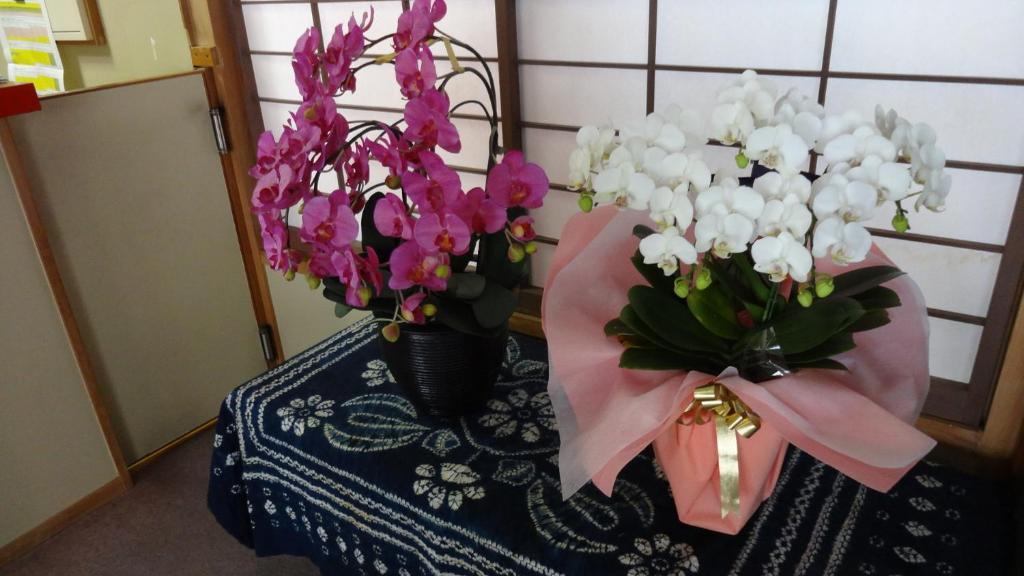 Matsunoi Ryokan Kusatsu  Zewnętrze zdjęcie